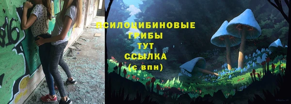 a pvp Алексеевка