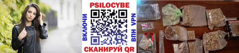 mega маркетплейс  наркошоп  Петрозаводск  Галлюциногенные грибы Psilocybine cubensis 